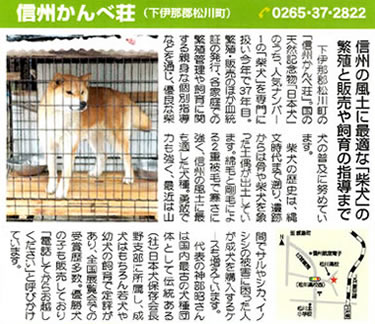 スマートフォン用週刊いな記事２